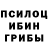 Псилоцибиновые грибы Magic Shrooms emanuel sorret