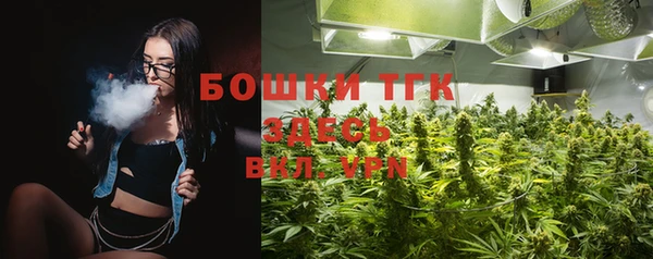 спайс Няндома